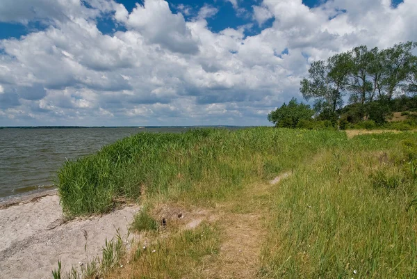 Nsg Peninsula Gnitz Usedom — 图库照片