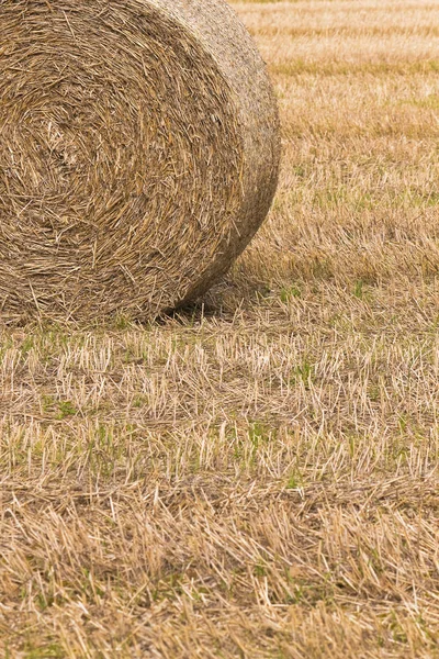 Enstaka Halmbalar Fält — Stockfoto