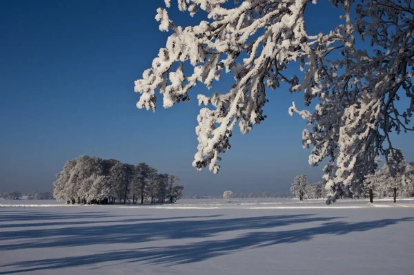 Bela Vista Paisagem Inverno — Fotografia de Stock