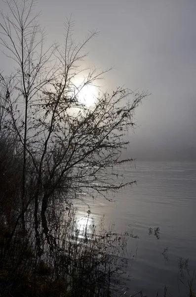 Wintermist Bij Mosel — Stockfoto