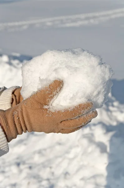Рука Держащая Руках Снег Покрытый Белой Пеной — стоковое фото