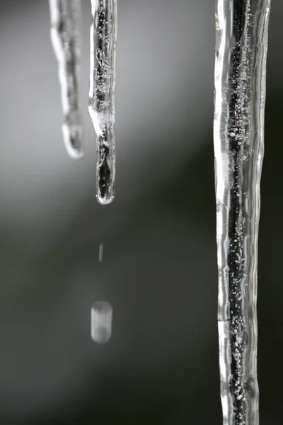 Eiszpafen Und Tropfen — Stockfoto