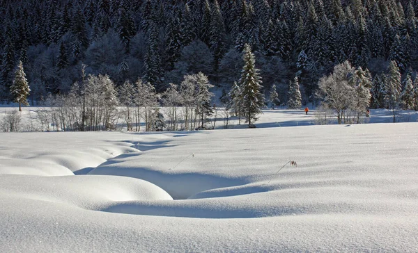 Vacker Utsikt Över Naturen — Stockfoto