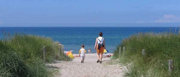 Panoramisch Uitzicht Duinen Selectieve Focus — Stockfoto