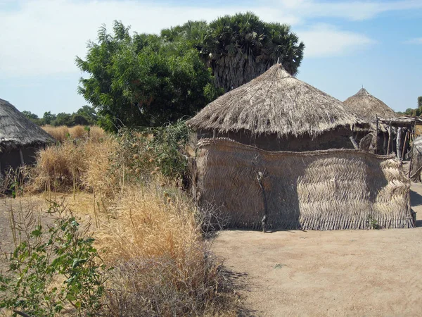 Village Africain Nord Cameroun — Photo