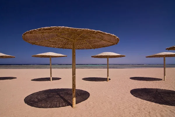 Umbrellas Sinai Peninsula — Stok fotoğraf