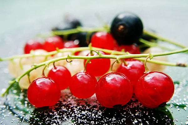 Red White Black Currants — Stock Photo, Image
