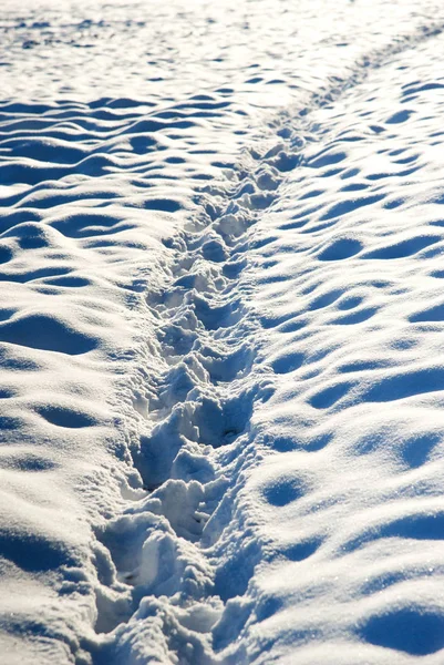 Faixas Neve — Fotografia de Stock