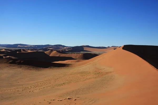 Woestijn Namib Namibia — Stockfoto