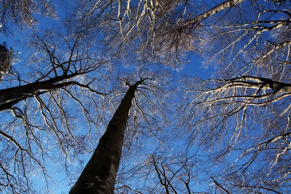 Olhos Céu — Fotografia de Stock