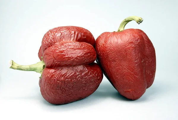 Red Tomato Row White Background — Stock Photo, Image