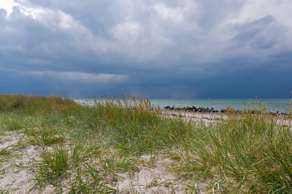 Esfriamento Mar Baltico Mecklenburg Vorpommern — Fotografia de Stock