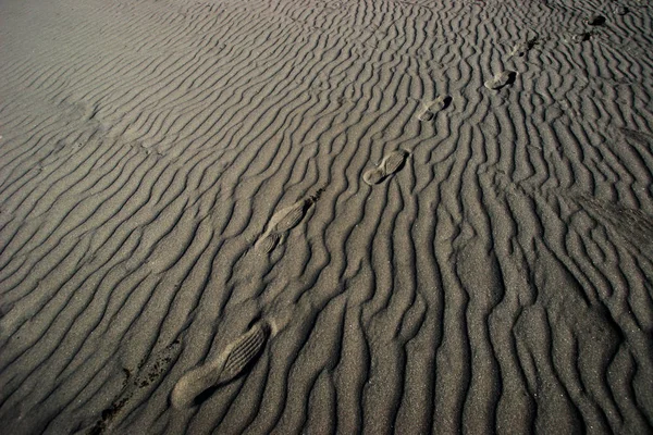 Çöl Kumdaki — Stok fotoğraf