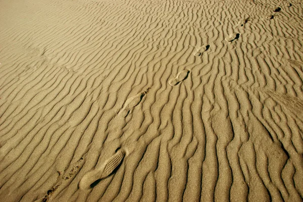 Footprints Desert Sand — Stock Photo, Image