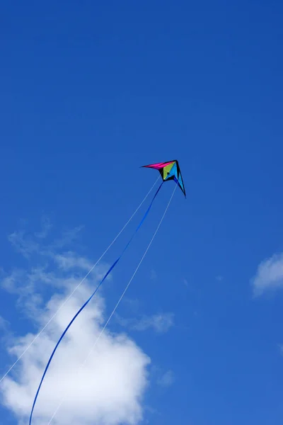 Papagaio Voando Céu Azul — Fotografia de Stock