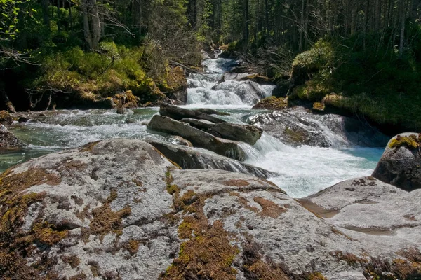 Het Wildgerlostal Hohe Tauern Nationaal Park — Stockfoto