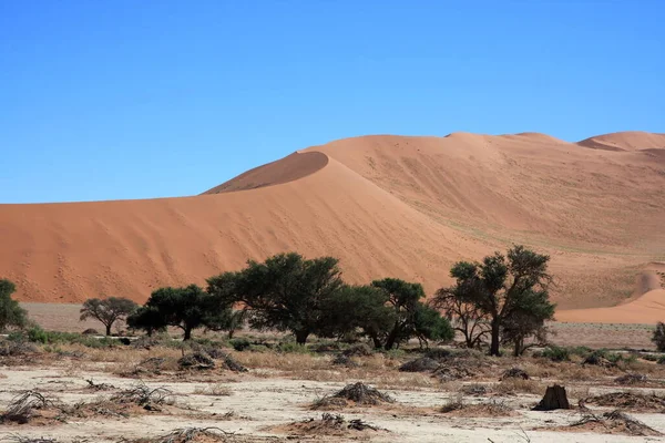 Namibische Woestijn Namibië — Stockfoto