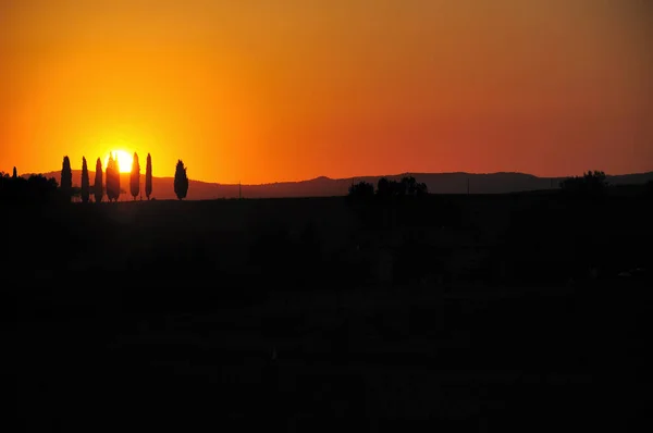 Prachtig Uitzicht Warme Avond — Stockfoto