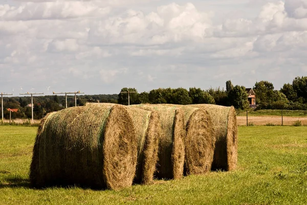 Schöne Aussicht Auf Die Natur — Stockfoto