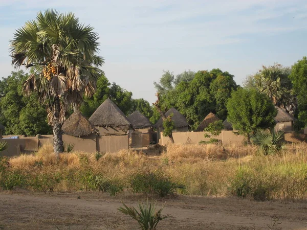 Villaggio Africano Nel Nord Del Camerun — Foto Stock