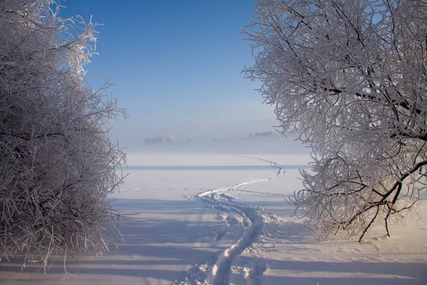 Blick Auf Eine Winterszene — Stockfoto