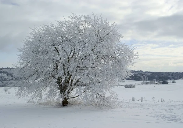 Schöne Aussicht Auf Die Natur — Stockfoto