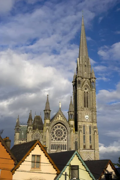 Cattedrale Colman Cobh — Foto Stock