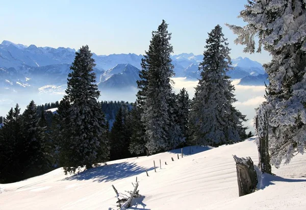 Vue Pittoresque Sur Paysage Hivernal Enneigé — Photo