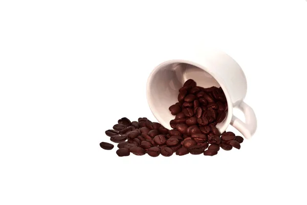 Coffee Beans Cup Isolated White Background — Stock Photo, Image