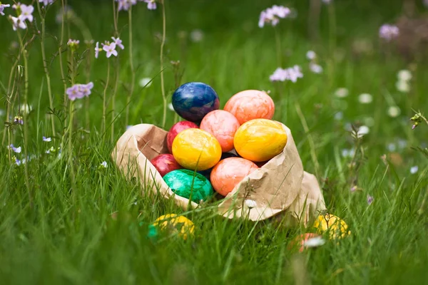 Oeufs Pâques Recherche Fond Vacances — Photo