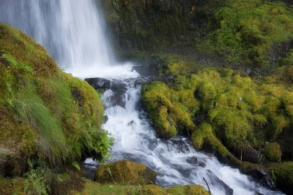 Chute Eau Écoulement Fluvial Naturel Environnement — Photo