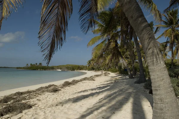 Hermoso Paisaje Playa Tropical —  Fotos de Stock