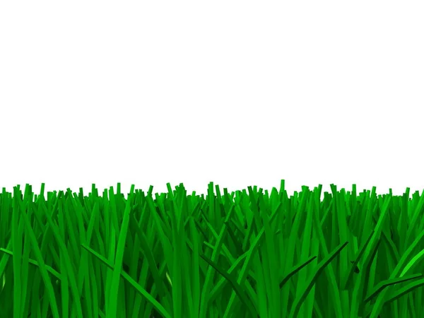 Green Grass — Stock Photo, Image