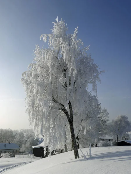 Vista Pitoresca Bela Paisagem Inverno — Fotografia de Stock