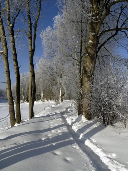 Malerisk Udsigt Snedækkede Vinterlandskab - Stock-foto