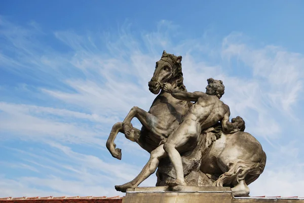 Estátua Leão Praça Della Signoria Flor Italia — Fotografia de Stock