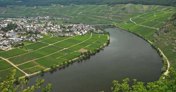 Mosel Flod Som Flyter Genom Frankrike Luxemburg Och Tyskland — Stockfoto