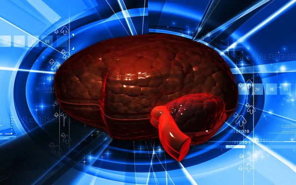 Mänsklig Hjärna Tänkande Organ — Stockfoto