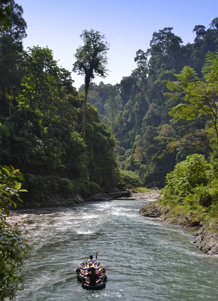 Sumatra Leuser Nationalpark — Stockfoto