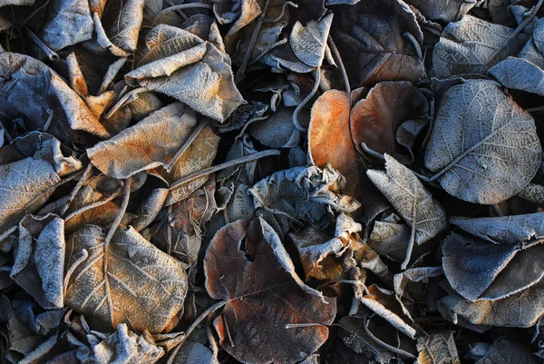 Carta Parati Astratta Sfondo Minimalista — Foto Stock