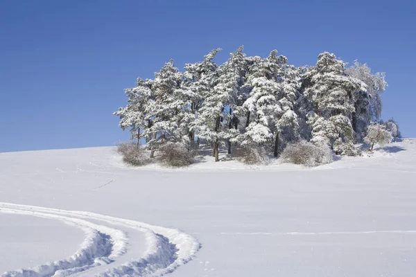 Vue Pittoresque Sur Paysage Hivernal Enneigé — Photo