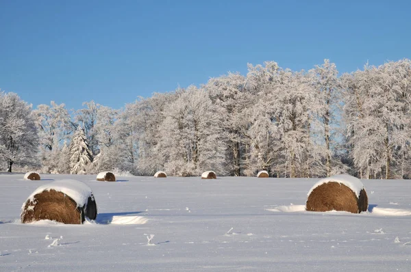 Piękny Widok Scenę Natury — Zdjęcie stockowe