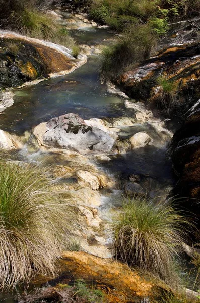 Zona Termal Del Valle Waimangu Nueva Zelanda — Foto de Stock
