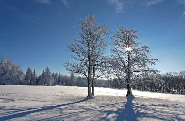 Prachtig Uitzicht Natuur Scene — Stockfoto