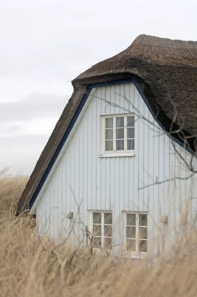 Haus Dunes Ahrenshoop Deutschland — Stockfoto