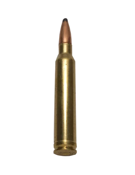 300 Win Magnum Shell — Stock Photo, Image