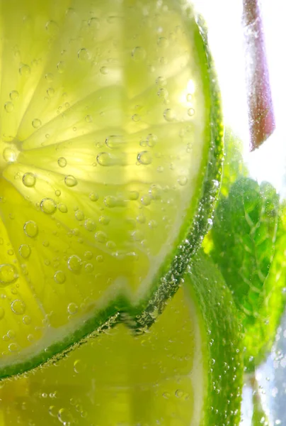 Fresh Green Cucumber Water Drops — Stock Photo, Image