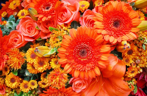 Orange Blommor Fyller Hela Bilden — Stockfoto