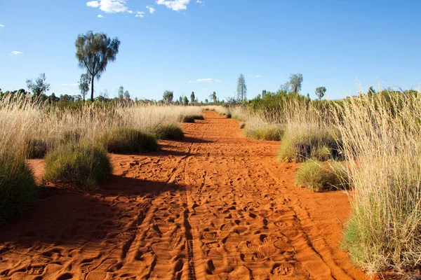 Dirt Road 2010 — Stock Photo, Image