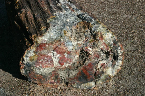 Piedra Con Una Cáscara Una Tapa Roca — Foto de Stock